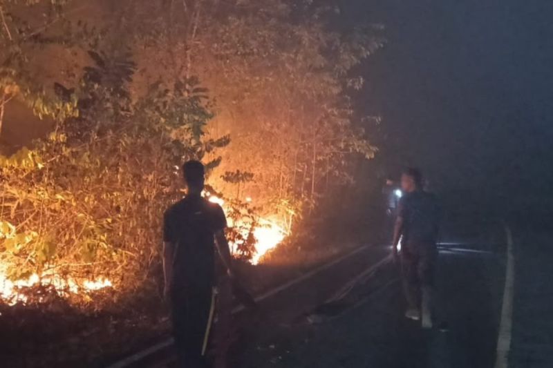 BMKG Jayapura Catat 1.862 Titik Api Terdeteksi di Tanah Papua.
