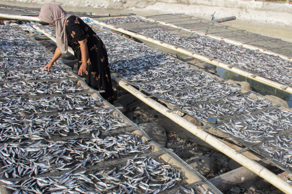 Foto: Produksi ikan kering di Maumere turun