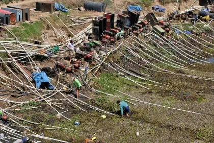 Kekeringan Melanda, Petani Kentang Terancam Gagal Panen