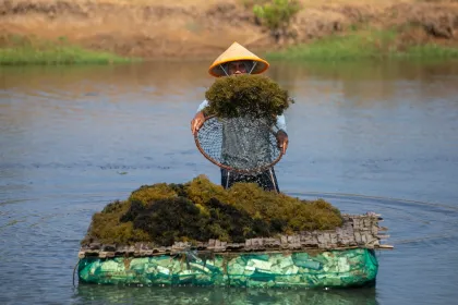 Berita Foto : KKP dorong penguatan produksi rumput laut Glacilaria