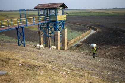 Waduk Cipancuh Indramayu Mengering, Pasokan Air untuk Persawahan Mulai Terdampak
