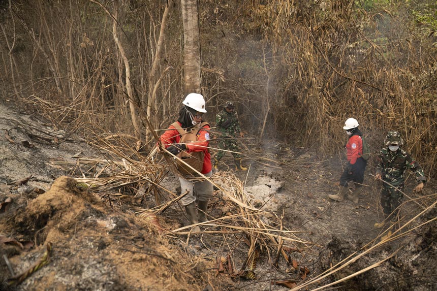 Foto: Perjuangan Tim Pemadam Perempuan TPoM Padamkan Karhutla di Ketapang
