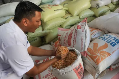 Berita Foto : Realisasi Distribusi Jagung untuk Stabilisasi Pasokan dan Harga Pangan