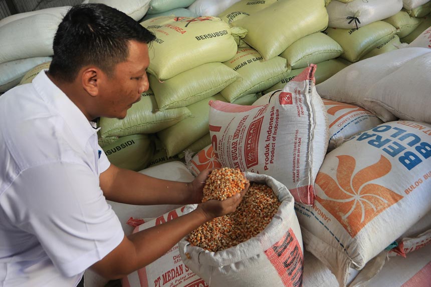 Foto: Realisasi Distribusi Jagung untuk Stabilisasi Pasokan dan Harga Pangan