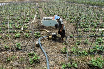 Berita Foto : Petani manfaatkan pompa air saat musim kemarau