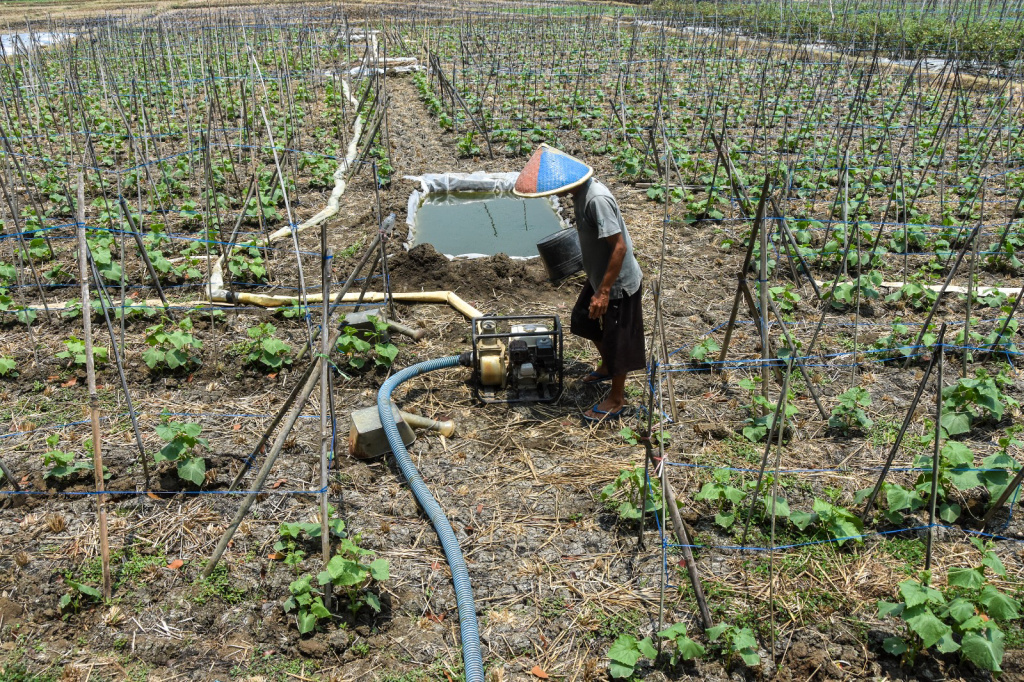 Foto: Petani manfaatkan pompa air saat musim kemarau