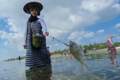 Berita Foto : Tradisi Hekente di Wakatobi