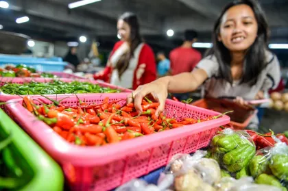 Kemarau Panjang, Harga Caba...