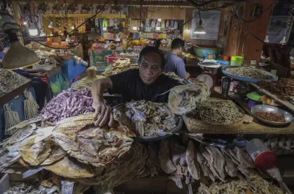 Realisasi Penyaluran KUR hingga Oktober 2026