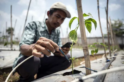 Teknologi Pintar Dorong Kemajuan Pertanian di Semarang