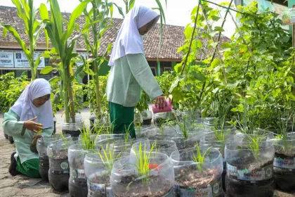 Edukasi Ketahanan Pangan Mandiri Sejak Dini di Sekolah Dasar