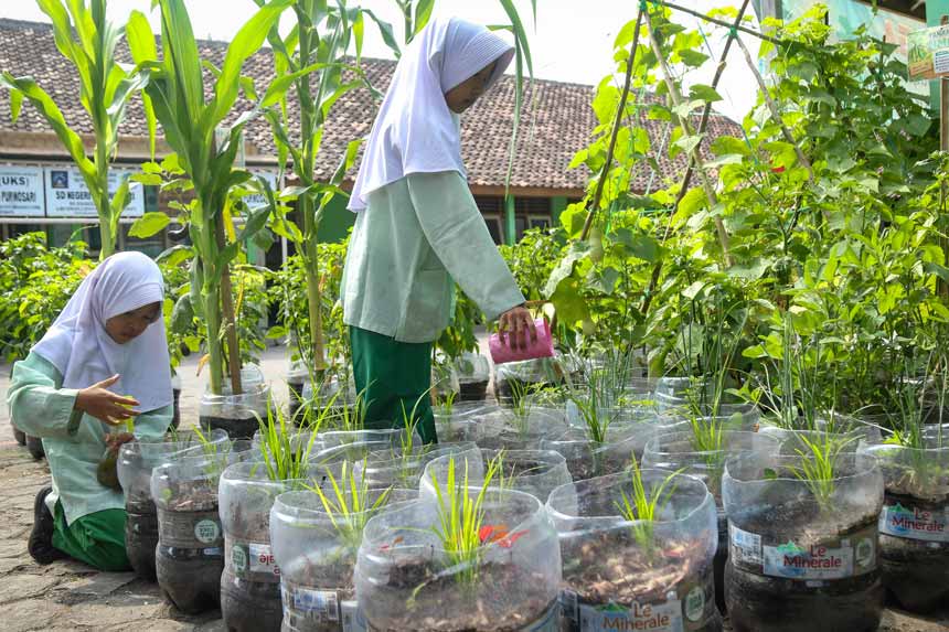 Berita Foto : Edukasi Ketahanan Pangan Mandiri Sejak Dini di Sekolah Dasar