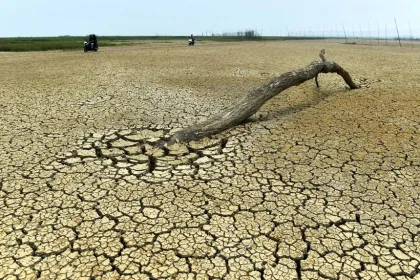 Berita Foto : Danau Semayang Mengering Sejak Agustus 2026 Akibat Musim Kemarau