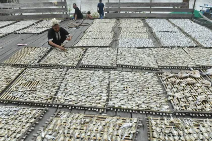 Berita Foto : Kabut Asap Karhutla Hambat Produksi Ikan Asin