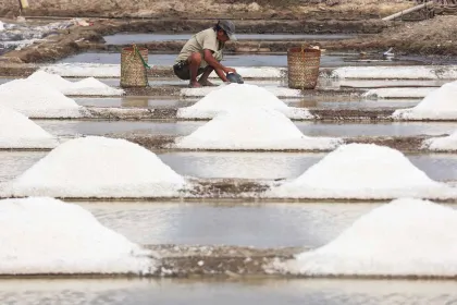 Harga Garam Anjlok saat Kemarau