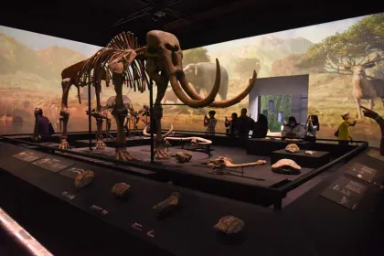 Museum Nasional Indonesia Berikan Tiket Masuk Gratis saat HKN