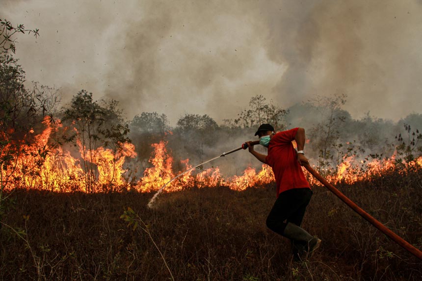 Foto: Tercatat 909 Kejadian Karhutla, Pemkot Palangka Raya Perpanjang Masa Tanggap Darurat