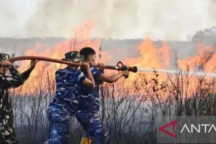 Karhutla Landa Hutan Desa Buding Belitung Timur, Personel Damkar Lanud Dikerahkan.