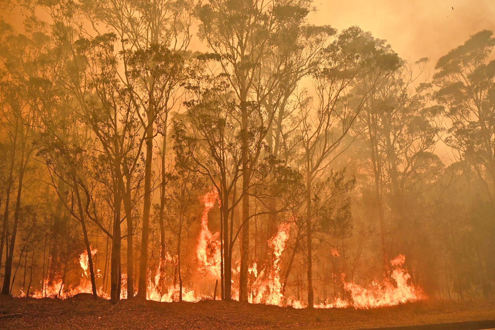 Kuil Berusia 1.000 Tahun Hangus Terbakar akibat Kebakaran Hutan di Uiseong
