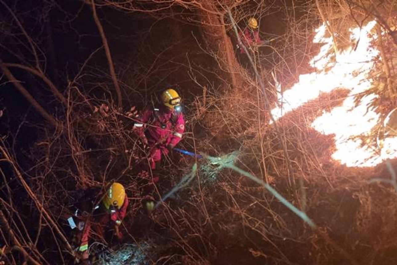 26 Orang Tewas Akibat Kebakaran Hutan Selama 6 Hari di Korsel