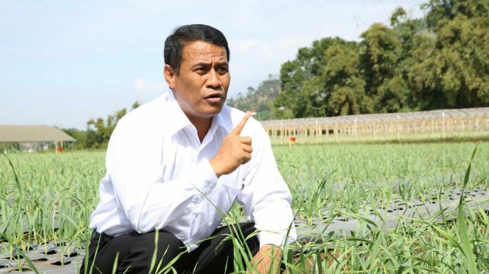 Hadapi El Nino, Pompanisasi Dipacu demi Keamanan Pangan di Jawa