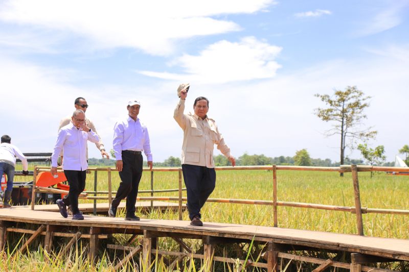 HPP Gabah Rp6.500/kg, Mentan Ungkap Komitmen Presiden untuk Sejahterakan Petani