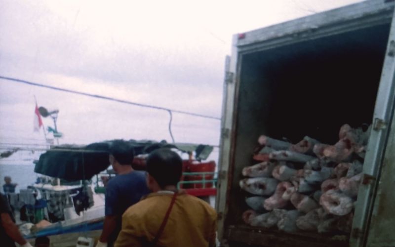 Pangan Lokal Biak seperti Kacang Hijau, Jagung, dan Keladi Layak untuk Lauk Program MBG