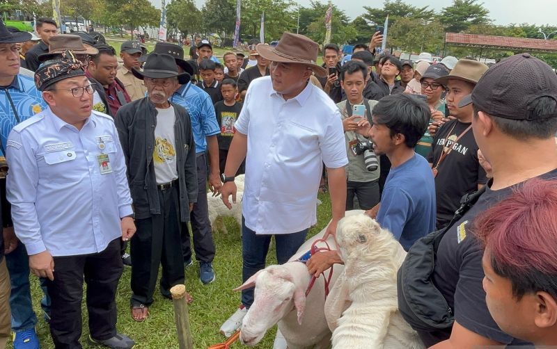 TNI AU Jadikan Bogor Pusat Kontes Domba Kambing Nasional
