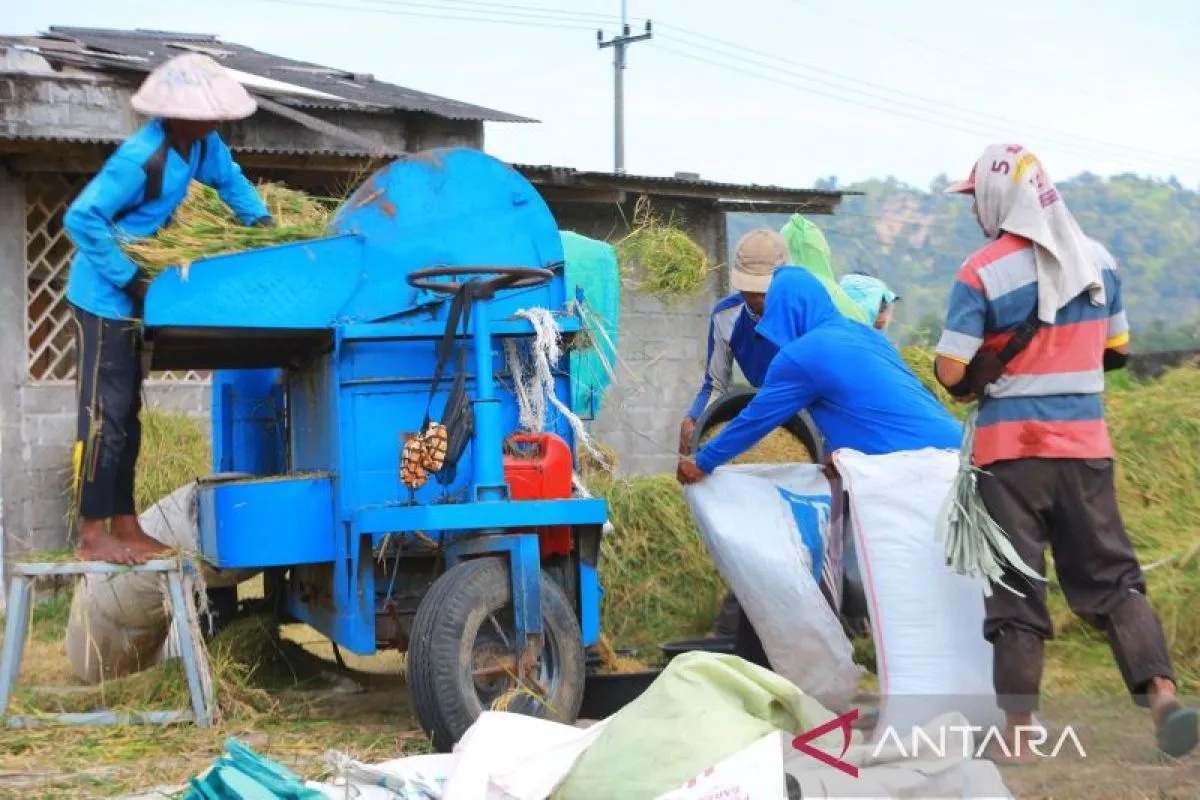 Bulog Sewa Gudang Tambahan, Serapan Beras Bulan April Capai 1,3 Juta Ton