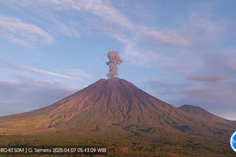 Gunung Semeru Erupsi Lagi, Letusan Setinggi 800 Meter di Atas Puncak