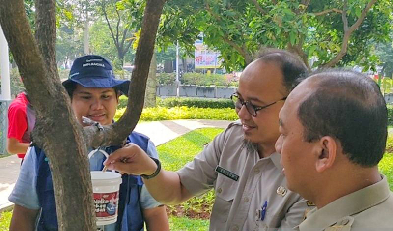 Jakbar: Hasil Evaluasi Nyamuk Wolbachia Sudah Menyatu Dalam Populasi