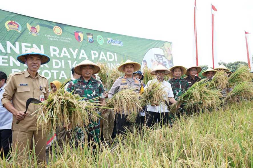 Panen Raya Jadi Penguat Ketahanan Pangan Lokal
