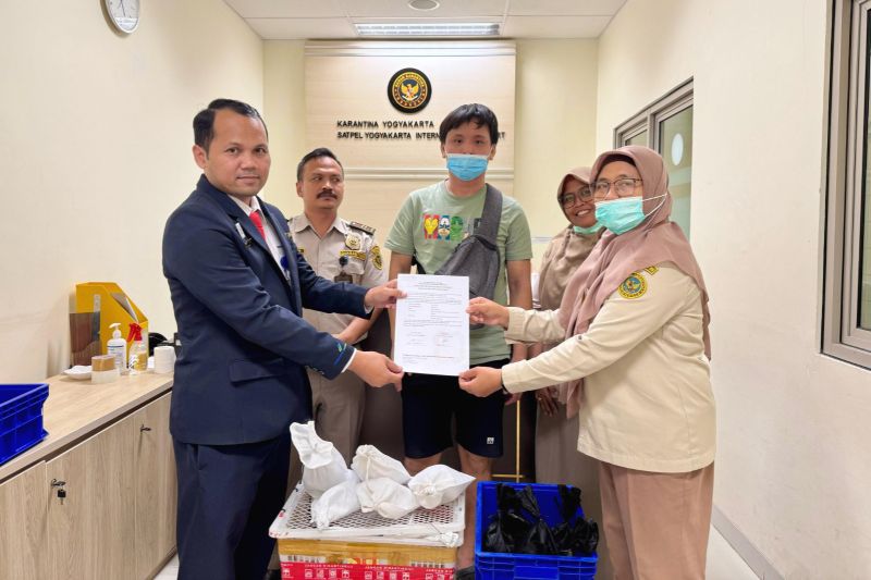Penyelundupan Ular dan Biawak Lewat Bandara YIA Digagalkan