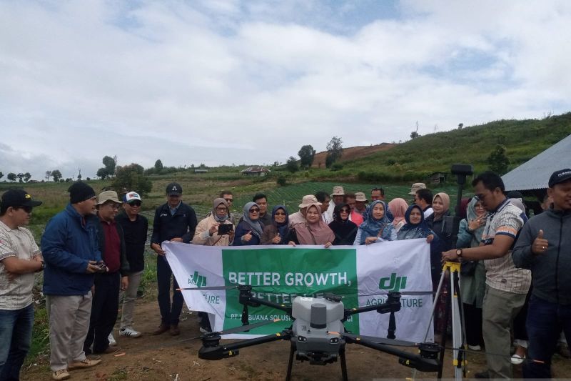 Petani Solok Manfaatkan Teknologi Drone untuk Semprot Tanaman