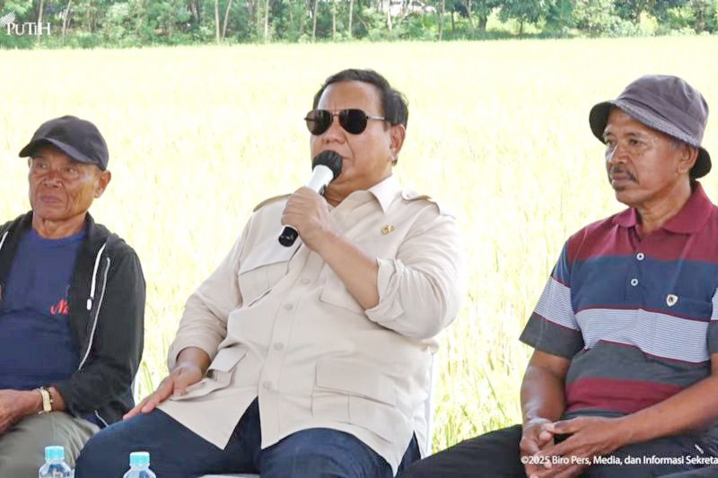 Prabowo bantu 1.000 burung hantu pembasmi hama tikus di Majalengka