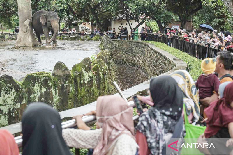 Ragunan Dikunjungi 472 ribu wisatawan selama libur Lebaran