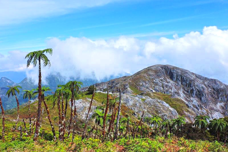 Sedang dilakukan pencarian pendaki hilang, pendakian Gunung Binaiya ditutup sementara 