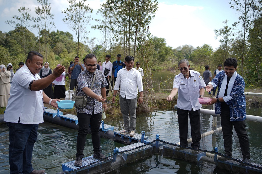 GIF Fasilitasi Masyarakat Belitung Budidaya Ikan di Cekungan Bekas Tambang 