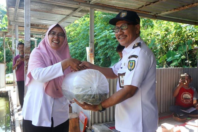 Jaga Ekosistem Sungai, Madiun Lakukan Penebaran Benih Ikan