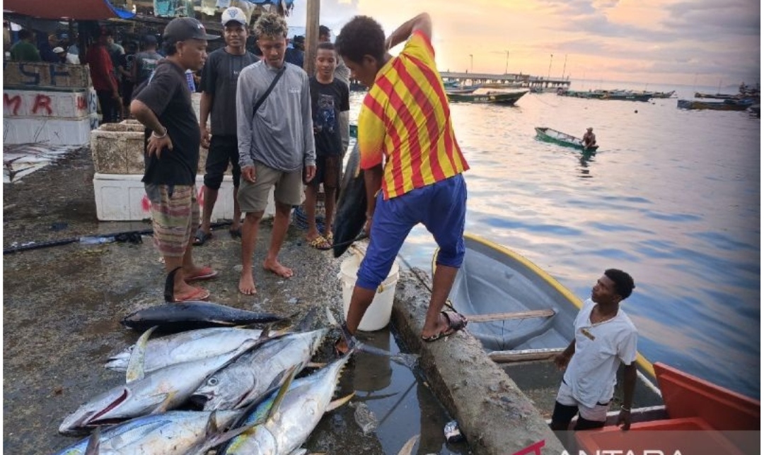 Laut Jayapura Melimpah! Tangkapan Ikan Tembus 45 Ribu Ton di 2024