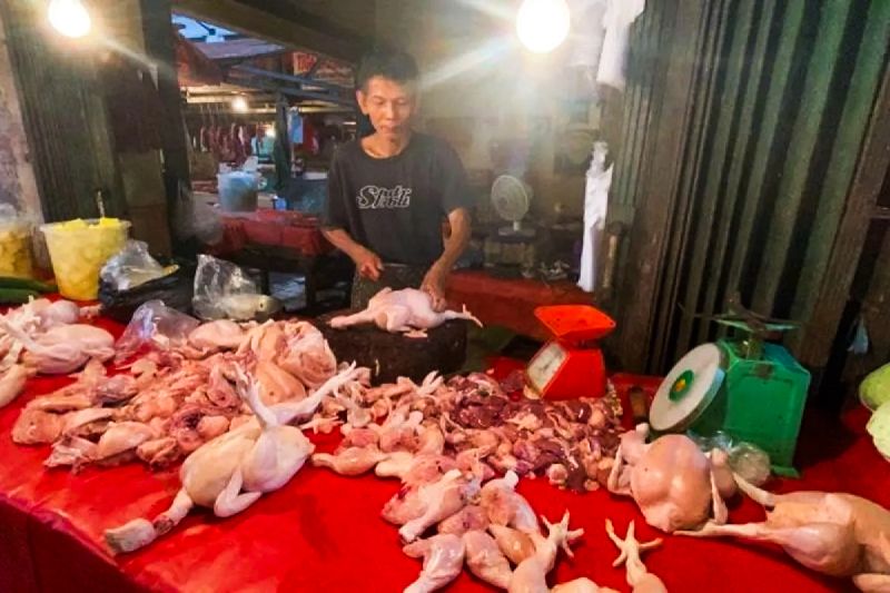 Harga Pangan Turun Usai Libur Panjang, Cek Daftar Harga Lengkap dari Bapanas