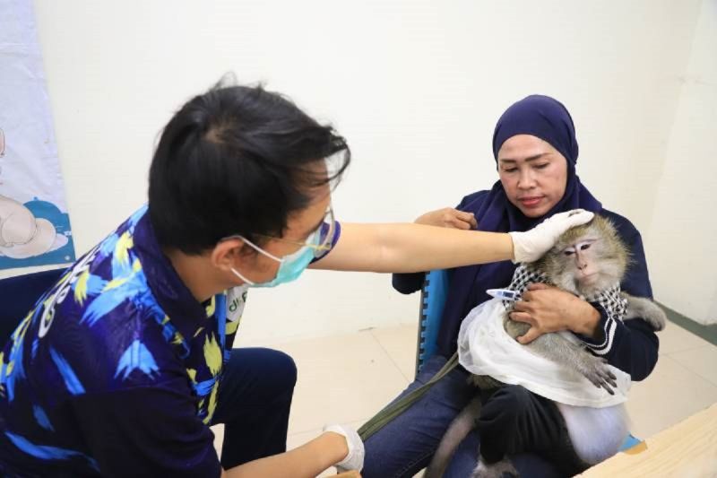 Pecinta Kucing, Manfaatkan Vaksinasi Rabies Gratis dari DKP Kota Tangerang