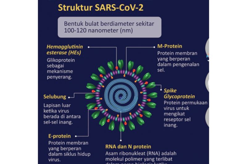 Kemenkes Imbau Jamaah Haji Waspadai Penularan MERS-CoV di Arab Saudi