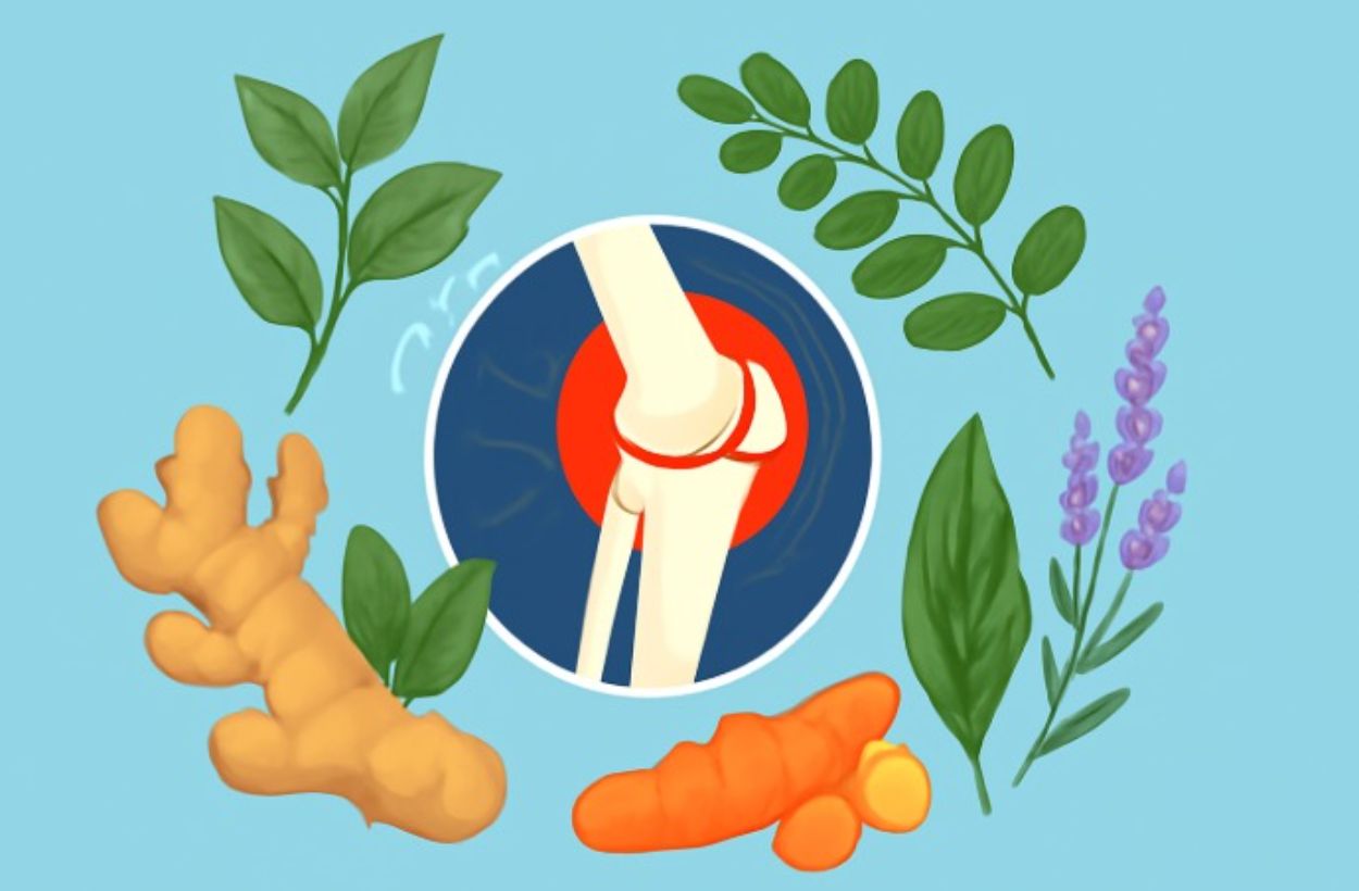 5 Tanaman Obat untuk Nyeri Sendi yang Ampuh dan Terbukti Berdasarkan Penelitian