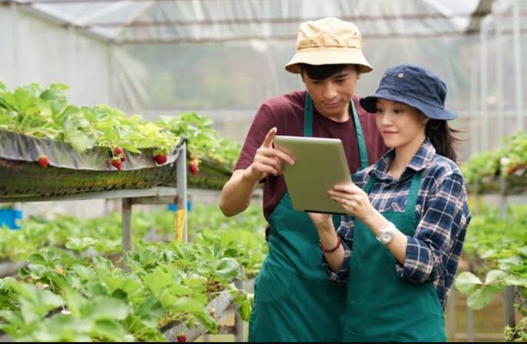 Pesan Wamentan untuk Generasi Z: Bukan Cuma Startup, Ladang Juga Butuh Inovator Muda