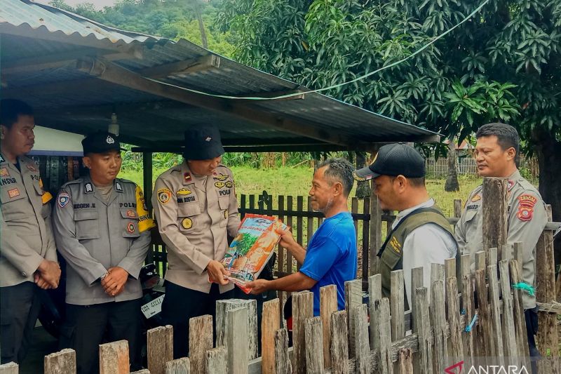 Penyaluran Bibit Jagung di Gorontalo: Kunci Peningkatan Ekonomi Petani Lokal