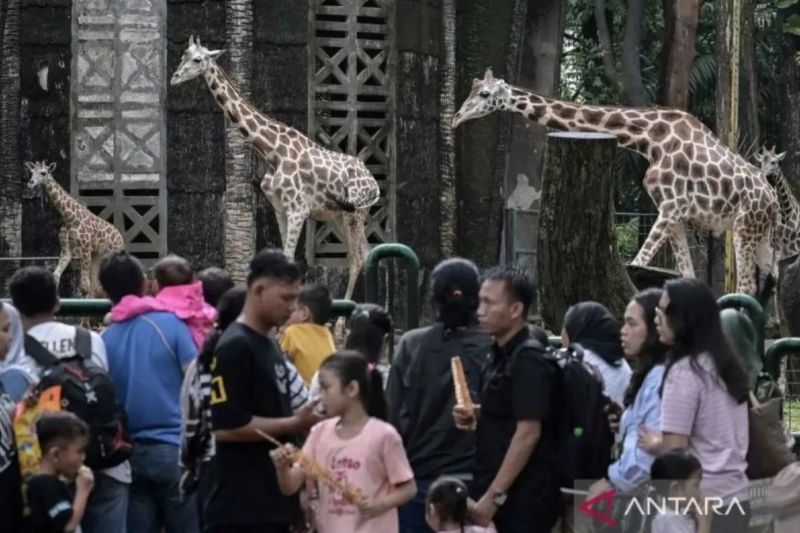 Ragunan Dikunjungi 32 Ribu Orang di Libur Panjang Kenaikan Yesus Kristus