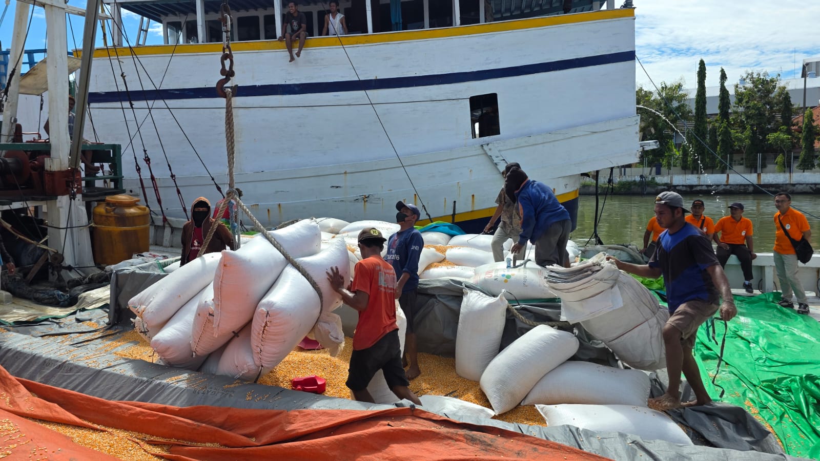 Bapanas Terus Dorong Distribusi Jagung dari Daerah Surplus ke Daerah Konsumen