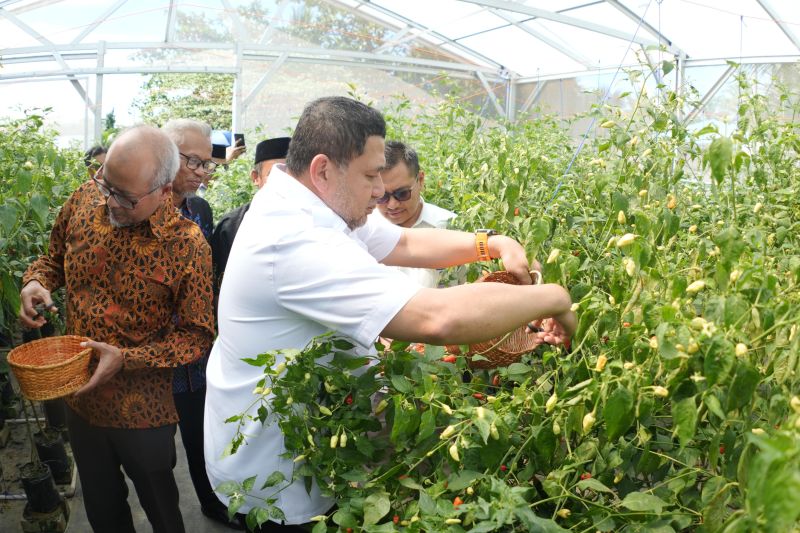 Pemkot Makassar Perkuat Kemandirian Ekonomi Lewat Program Pertanian Kota