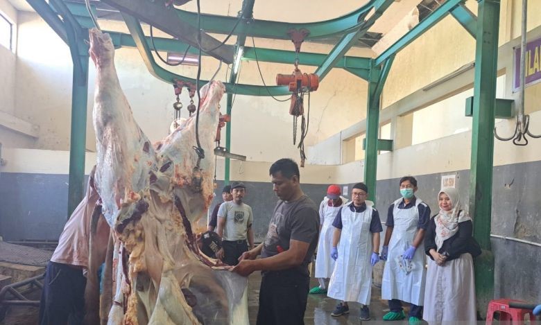 Daerah Mulai Salurkan Daging Kurban Bantuan Presiden Prabowo
